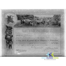 getuigschrift J Terhaart 30-03-1917 F00000398